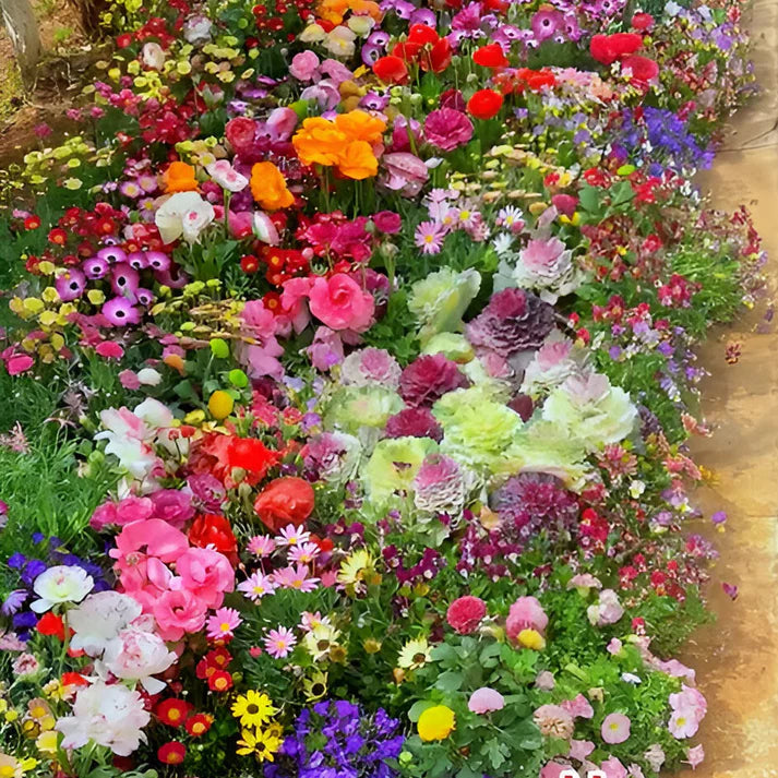 Varieties of Flower Seeds - Plant Supplement Free