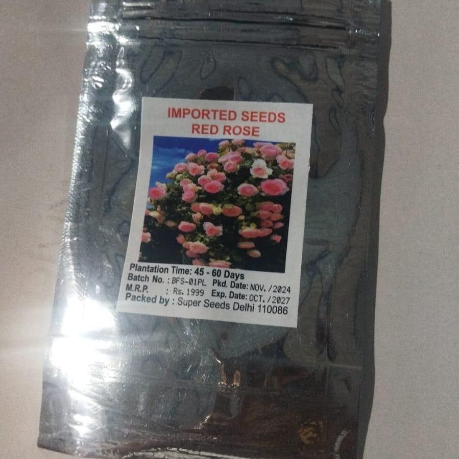 Elegant Climbing Rose Flower Seeds