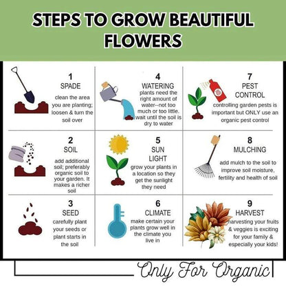 Varieties of Flower Seeds - Plant Supplement Free