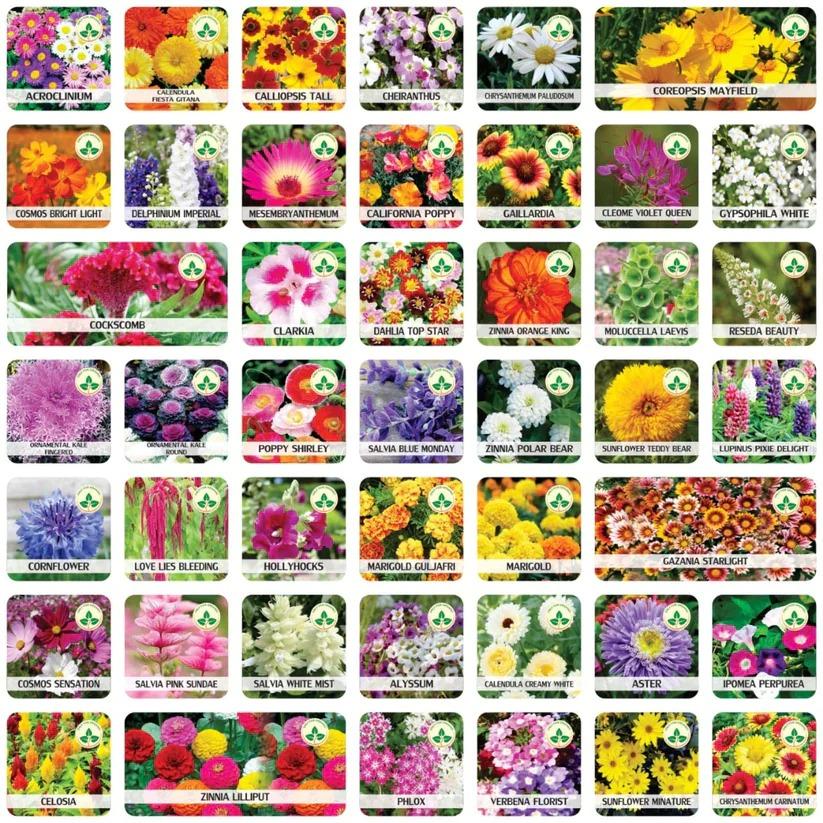 Varieties of Flower Seeds - Plant Supplement Free