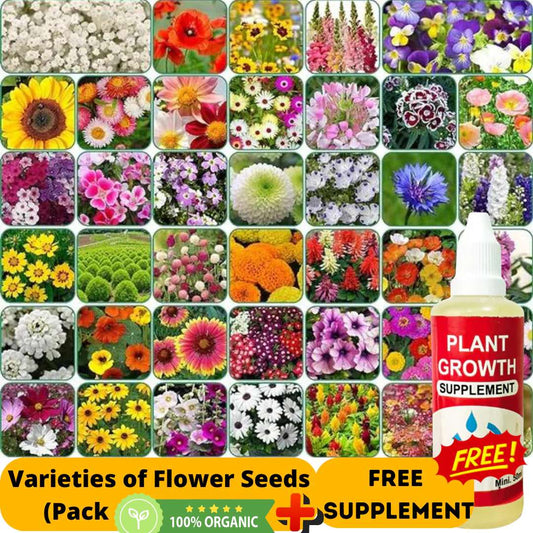 Varieties of Flower Seeds - Plant Supplement Free